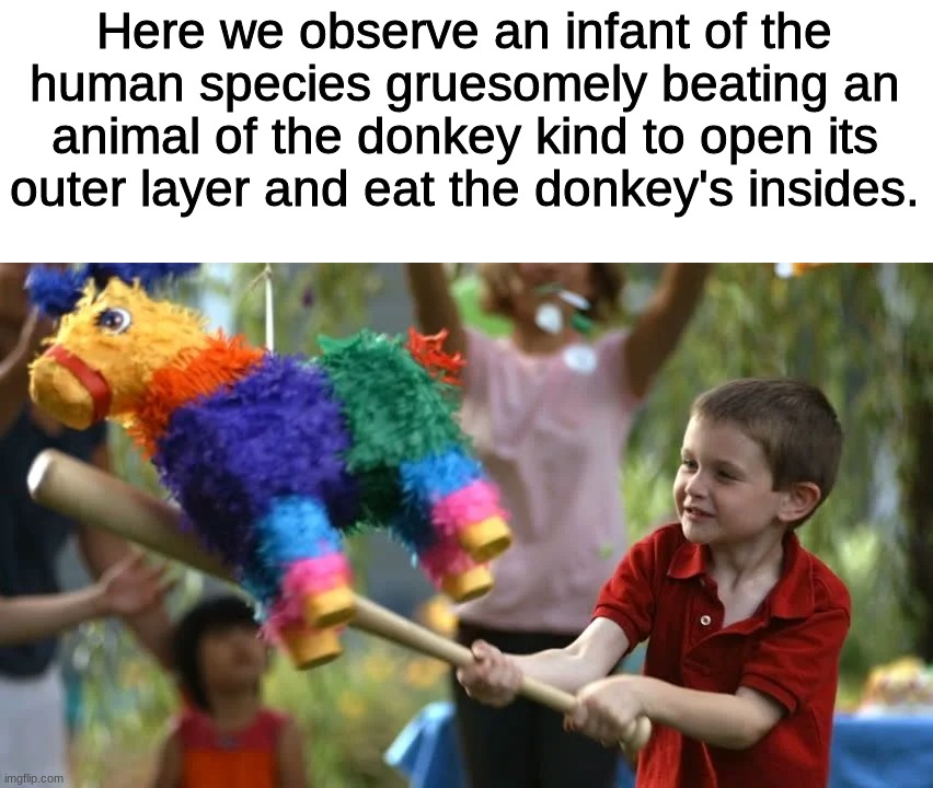 Donkey Torture |  Here we observe an infant of the human species gruesomely beating an animal of the donkey kind to open its outer layer and eat the donkey's insides. | image tagged in boi,lol,lel,barney will eat all of your delectable biscuits,donkey is dying,stop reading the tags | made w/ Imgflip meme maker