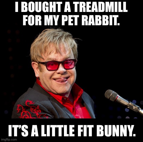 Fit Bunny | I BOUGHT A TREADMILL FOR MY PET RABBIT. IT’S A LITTLE FIT BUNNY. | image tagged in elton john | made w/ Imgflip meme maker