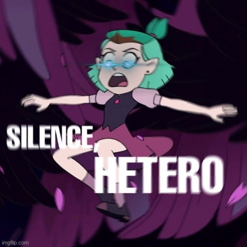 silence hetero | image tagged in silence hetero | made w/ Imgflip meme maker