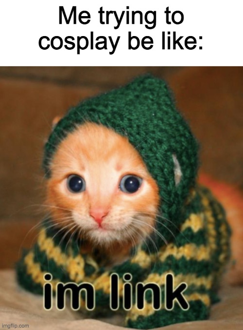 Cute cat | Me trying to cosplay be like: | image tagged in im link cat,memes,funny,cute,cats,kittens | made w/ Imgflip meme maker