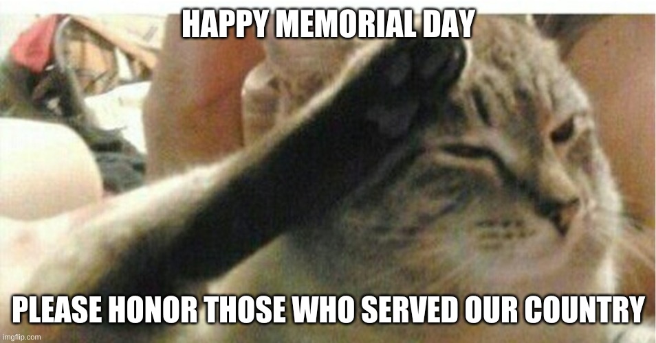 Cat of Honor |  HAPPY MEMORIAL DAY; PLEASE HONOR THOSE WHO SERVED OUR COUNTRY | image tagged in cat of honor | made w/ Imgflip meme maker