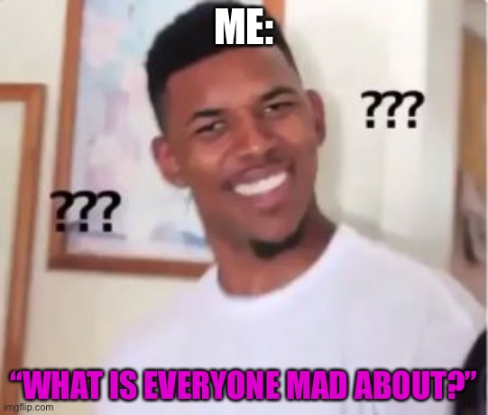 ME: “WHAT IS EVERYONE MAD ABOUT?” | image tagged in nick young | made w/ Imgflip meme maker