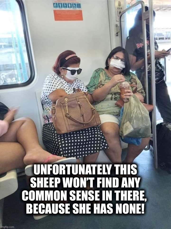 Masked sheep… | UNFORTUNATELY THIS SHEEP WON’T FIND ANY COMMON SENSE IN THERE, 
BECAUSE SHE HAS NONE! | image tagged in sheeple,sheep,covid-19,dr fauci,mask,face mask | made w/ Imgflip meme maker