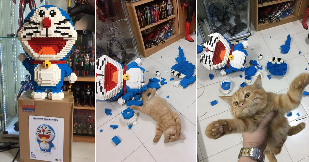 Cat destroys model 3 frames Blank Meme Template