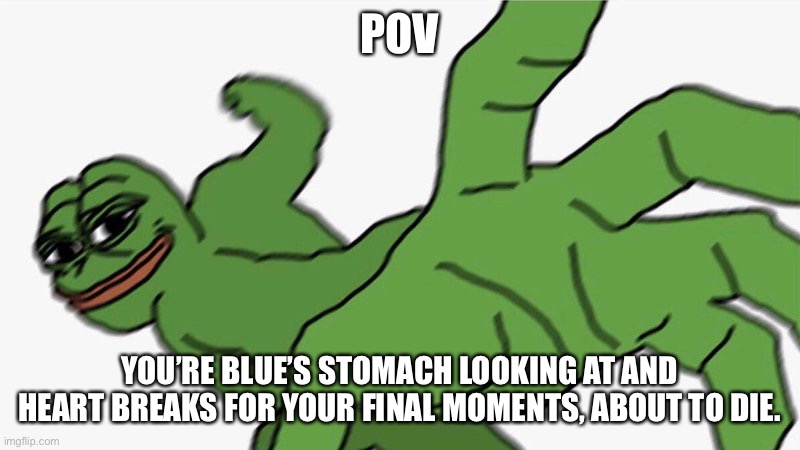 Memes explaining everything we didn’t cover in act IV #3. (Yeah... she dies...) | POV; YOU’RE BLUE’S STOMACH LOOKING AT AND HEART BREAKS FOR YOUR FINAL MOMENTS, ABOUT TO DIE. | image tagged in pepe pov | made w/ Imgflip meme maker