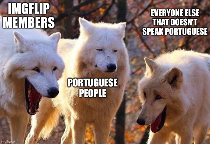Laughing wolf | IMGFLIP MEMBERS PORTUGUESE PEOPLE EVERYONE ELSE THAT DOESN’T SPEAK PORTUGUESE | image tagged in laughing wolf | made w/ Imgflip meme maker