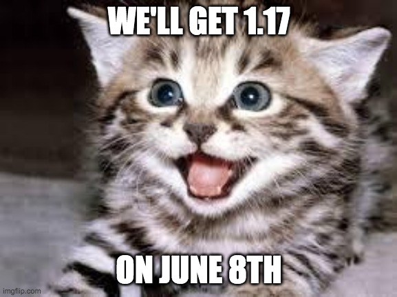 yay yay yay | WE'LL GET 1.17; ON JUNE 8TH | image tagged in happy cat | made w/ Imgflip meme maker
