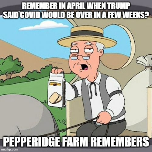 Not correct | REMEMBER IN APRIL WHEN TRUMP SAID COVID WOULD BE OVER IN A FEW WEEKS? PEPPERIDGE FARM REMEMBERS | image tagged in memes,pepperidge farm remembers,incorrect trump,wrong | made w/ Imgflip meme maker