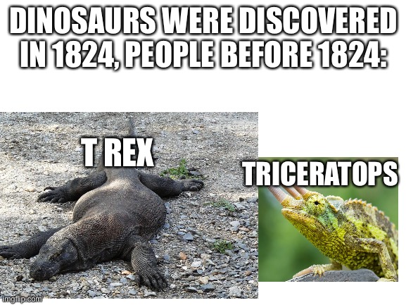  DINOSAURS WERE DISCOVERED IN 1824, PEOPLE BEFORE 1824:; TRICERATOPS; T REX | image tagged in dinosaurs | made w/ Imgflip meme maker