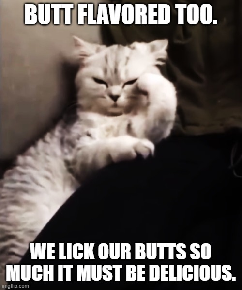 Thinking Cat | BUTT FLAVORED TOO. WE LICK OUR BUTTS SO MUCH IT MUST BE DELICIOUS. | image tagged in thinking cat | made w/ Imgflip meme maker