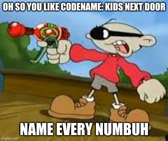 Oh So You Like Codename KND | OH SO YOU LIKE CODENAME: KIDS NEXT DOOR; NAME EVERY NUMBUH | image tagged in knd,codename kids next door | made w/ Imgflip meme maker