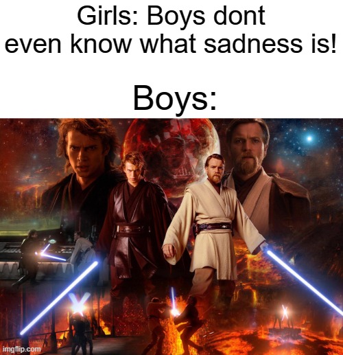 YOU WERE MY BROTHER ANAKIN- | Girls: Boys dont even know what sadness is! Boys: | image tagged in barney will eat all of your delectable biscuits | made w/ Imgflip meme maker