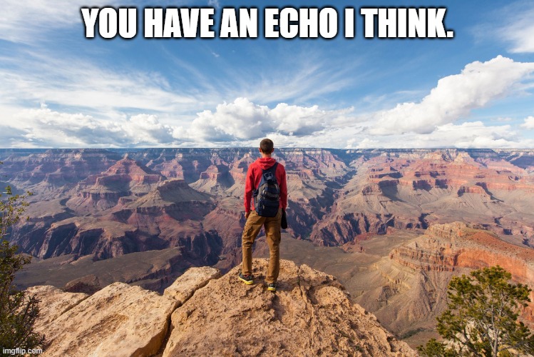 echo chamber | YOU HAVE AN ECHO I THINK. | image tagged in echo chamber | made w/ Imgflip meme maker
