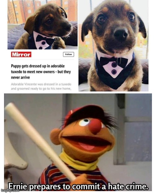 Why, just why. | image tagged in ernie prepares to commit a hate crime | made w/ Imgflip meme maker