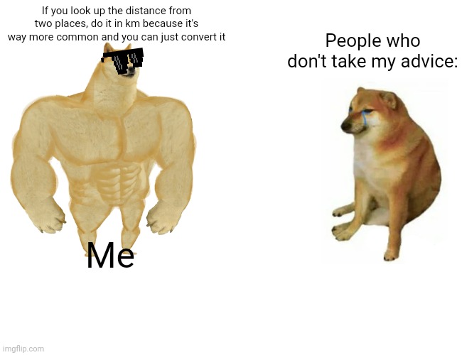 I haven't been active in a while | If you look up the distance from two places, do it in km because it's way more common and you can just convert it; People who don't take my advice:; Me | image tagged in memes,buff doge vs cheems,school | made w/ Imgflip meme maker