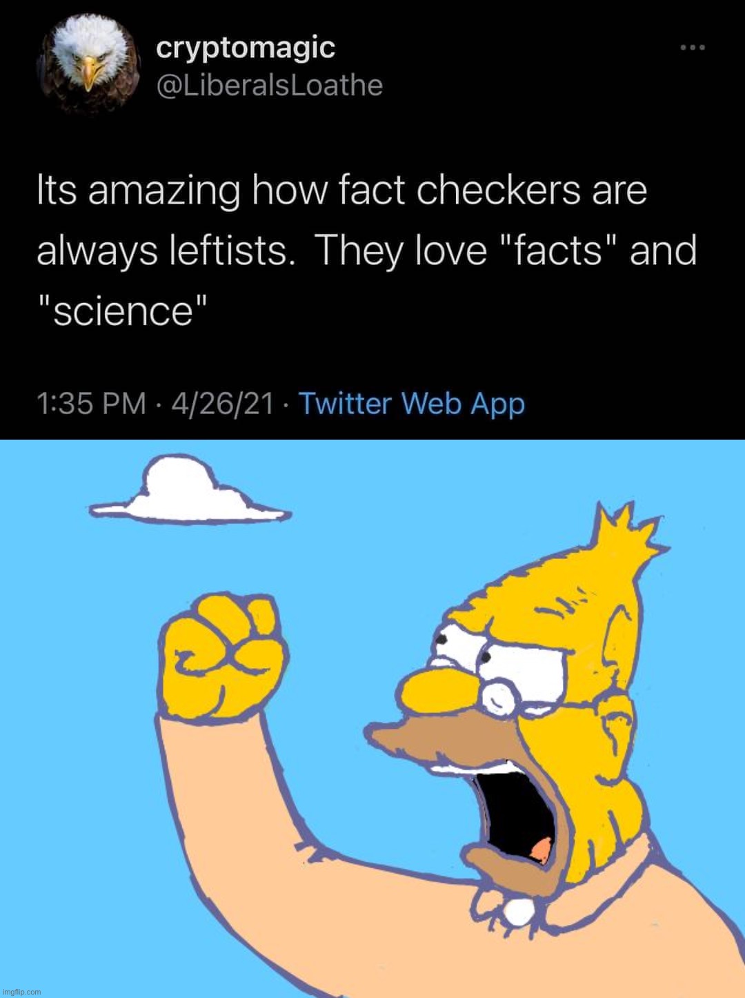 When the fact-checkers get you! (v rare self-cringe) | image tagged in fact checkers are leftists,old man yells at cloud | made w/ Imgflip meme maker