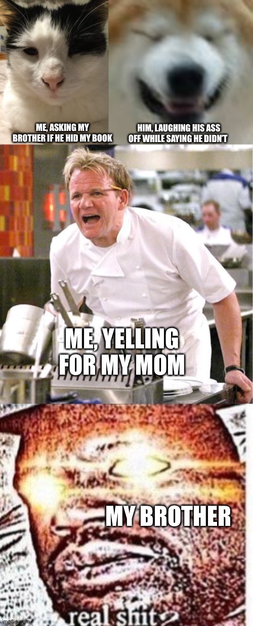 So true tho | HIM, LAUGHING HIS ASS OFF WHILE SAYING HE DIDN’T; ME, ASKING MY BROTHER IF HE HID MY BOOK; ME, YELLING FOR MY MOM; MY BROTHER | image tagged in memes,chef gordon ramsay,sleeping shaq,lol | made w/ Imgflip meme maker
