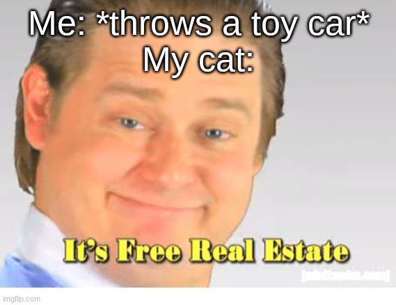 It's Free Real Estate | Me: *throws a toy car*
My cat: | image tagged in it's free real estate | made w/ Imgflip meme maker