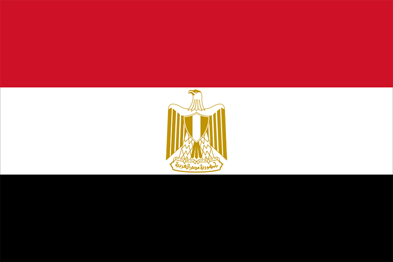 Egypt flag Blank Meme Template