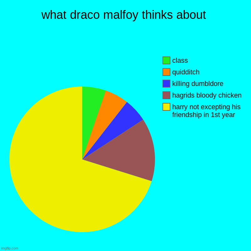 what draco malfoy thinks about | harry not excepting his friendship in 1st year, hagrids bloody chicken, killing dumbldore, quidditch, class | image tagged in charts,pie charts | made w/ Imgflip chart maker