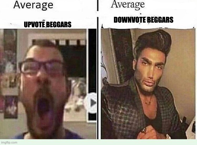 Is this a repost??? | DOWNVOTE BEGGARS; UPVOTE BEGGARS | image tagged in average blank fan vs average blank enjoyer | made w/ Imgflip meme maker