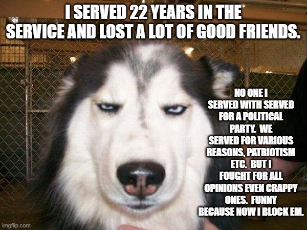 seriously_husky | I SERVED 22 YEARS IN THE SERVICE AND LOST A LOT OF GOOD FRIENDS. NO ONE I SERVED WITH SERVED FOR A POLITICAL PARTY.  WE SERVED FOR VARIOUS R | image tagged in seriously_husky | made w/ Imgflip meme maker