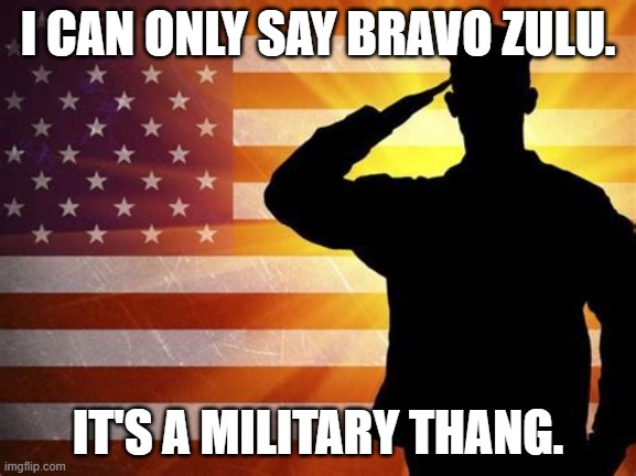 Salute | I CAN ONLY SAY BRAVO ZULU. IT'S A MILITARY THANG. | image tagged in salute | made w/ Imgflip meme maker