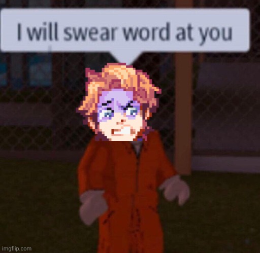 I will swear word at you | image tagged in i will swear word at you | made w/ Imgflip meme maker