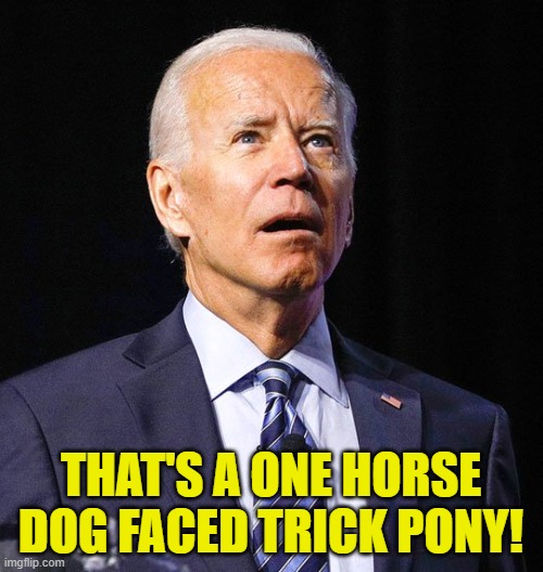 Joe Biden | THAT'S A ONE HORSE DOG FACED TRICK PONY! | image tagged in joe biden | made w/ Imgflip meme maker