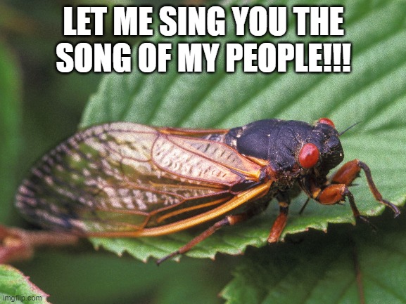 LET ME SING YOU THE
SONG OF MY PEOPLE!!! | made w/ Imgflip meme maker