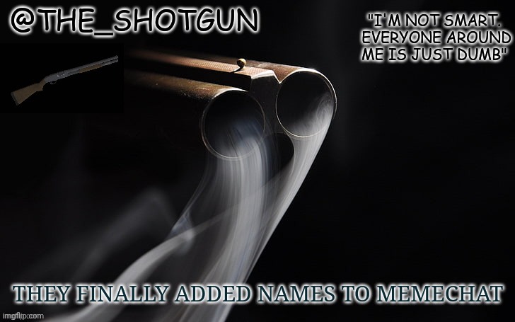 You're name is small above your message | THEY FINALLY ADDED NAMES TO MEMECHAT | image tagged in yet another temp for shotgun | made w/ Imgflip meme maker