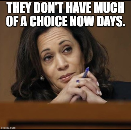 Kamala Harris  | THEY DON'T HAVE MUCH OF A CHOICE NOW DAYS. | image tagged in kamala harris | made w/ Imgflip meme maker