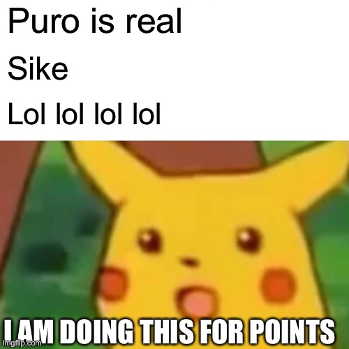 Surprised Pikachu | Puro is real; Sike; Lol lol lol lol; I AM DOING THIS FOR POINTS | image tagged in memes,surprised pikachu | made w/ Imgflip meme maker