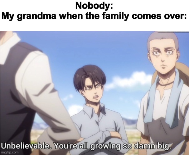 Nobody:
My grandma when the family comes over: | image tagged in aot,attack on titan,repost | made w/ Imgflip meme maker