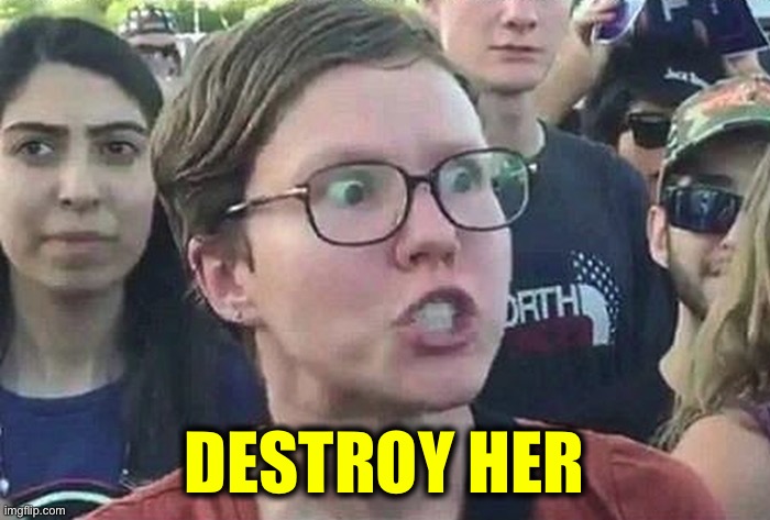 Triggered Liberal | DESTROY HER | image tagged in triggered liberal | made w/ Imgflip meme maker