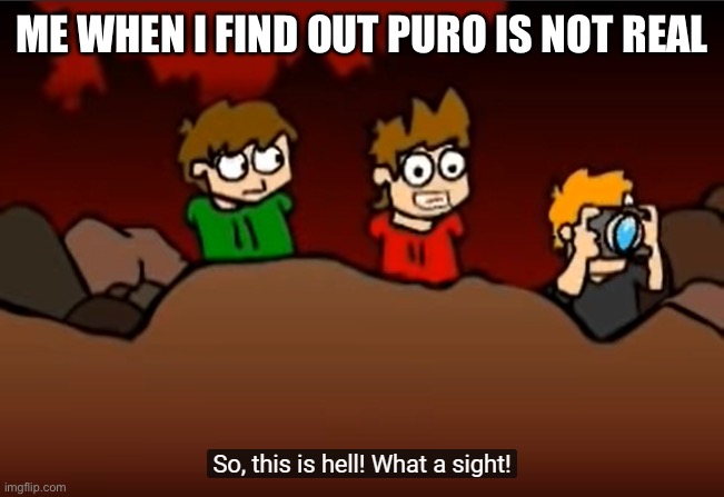So this is Hell | ME WHEN I FIND OUT PURO IS NOT REAL | image tagged in so this is hell,hello hellhole,hell,eddsworld | made w/ Imgflip meme maker