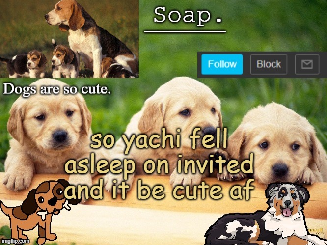 Soap doggo temp | so yachi fell asleep on invited and it be cute af | image tagged in soap doggo temp ty yachi | made w/ Imgflip meme maker