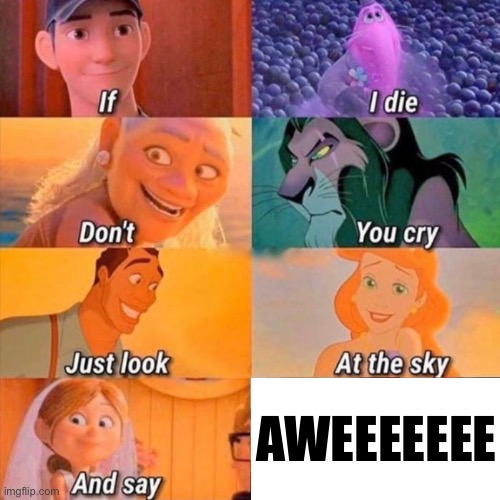 if i die don't you cry | AWEEEEEEE | image tagged in if i die don't you cry | made w/ Imgflip meme maker