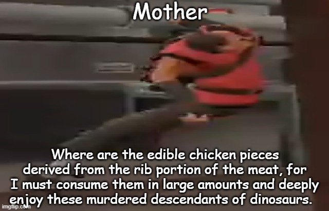 scout wants chicken nuggets but he oversimplifies it. | Mother; Where are the edible chicken pieces derived from the rib portion of the meat, for I must consume them in large amounts and deeply enjoy these murdered descendants of dinosaurs. | image tagged in tf2 scout | made w/ Imgflip meme maker