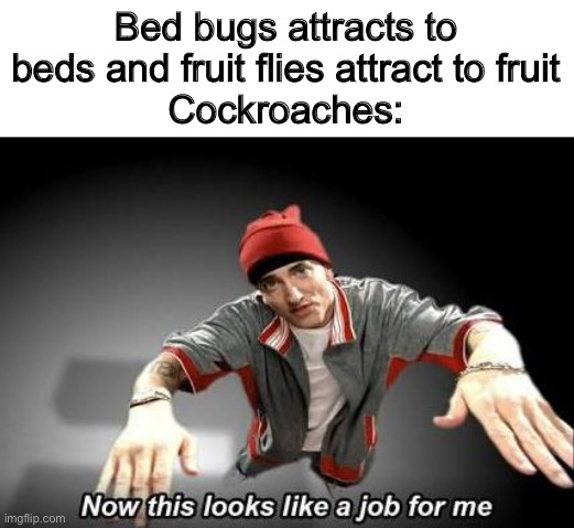 Now this looks like a job for me | Bed bugs attracts to beds and fruit flies attract to fruit
Cockroaches: | image tagged in now this looks like a job for me | made w/ Imgflip meme maker