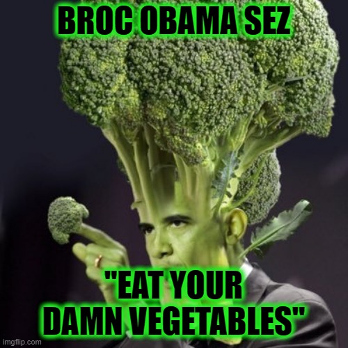 BROC OBAMA SEZ "EAT YOUR DAMN VEGETABLES" | made w/ Imgflip meme maker