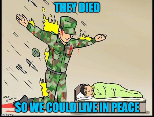 Don't ever forget that. May their souls be remembered for eternity. | THEY DIED; SO WE COULD LIVE IN PEACE | image tagged in silent protector,memorial day | made w/ Imgflip meme maker