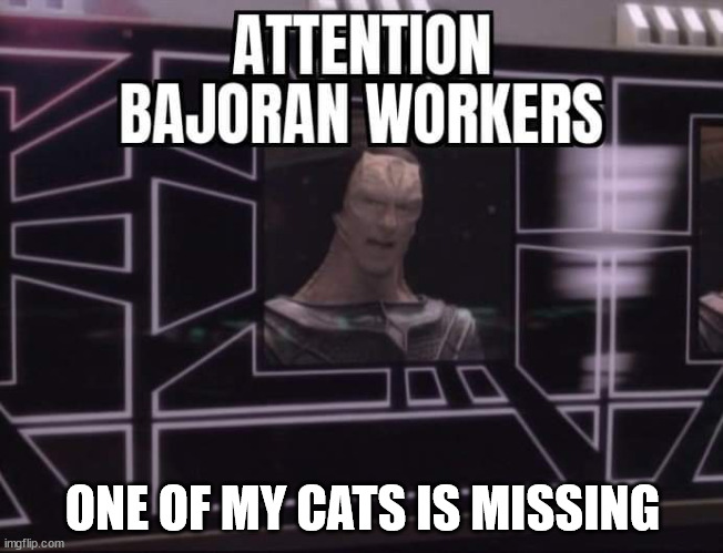 dukat01 | ONE OF MY CATS IS MISSING | image tagged in star trek deep space nine gul dukat attention bajoran workers | made w/ Imgflip meme maker
