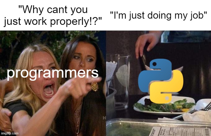 Woman Yelling At Cat Meme | "Why cant you just work properly!?"; "I'm just doing my job"; programmers | image tagged in memes,woman yelling at cat,programming | made w/ Imgflip meme maker