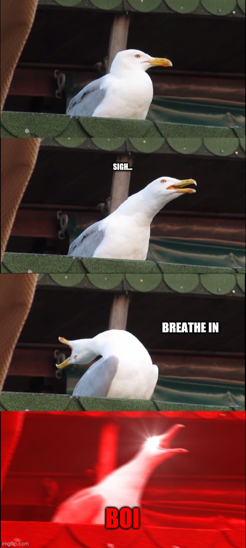 Inhaling Seagull Meme | SIGH... BREATHE IN; BOI | image tagged in memes,inhaling seagull | made w/ Imgflip meme maker
