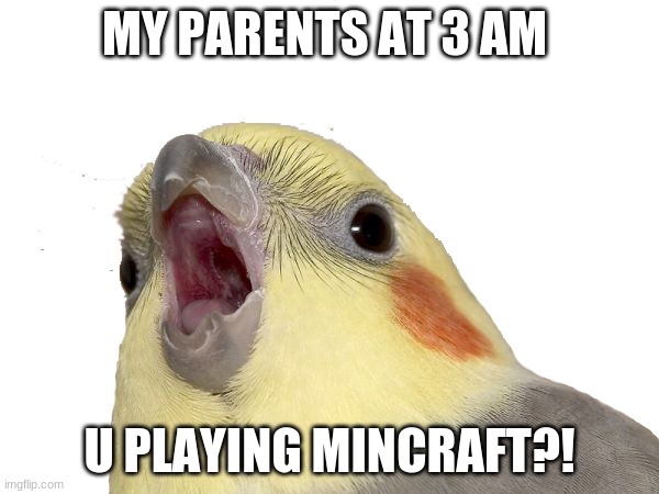 WHY ARE THEY UP AT 3 AM? |  MY PARENTS AT 3 AM; U PLAYING MINCRAFT?! | image tagged in minecraft,parents,3 am,ur ded,ur gay nerd,haha i go brrrrrr | made w/ Imgflip meme maker