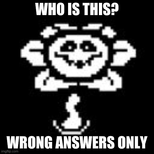 Flowey | WHO IS THIS? WRONG ANSWERS ONLY | image tagged in flowey | made w/ Imgflip meme maker