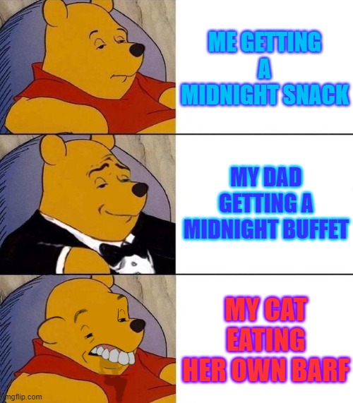 . | ME GETTING A MIDNIGHT SNACK; MY DAD GETTING A MIDNIGHT BUFFET; MY CAT EATING HER OWN BARF | image tagged in funny | made w/ Imgflip meme maker