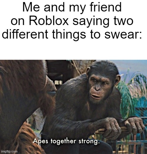 Players together STRONK | Me and my friend on Roblox saying two different things to swear: | image tagged in apes together strong,stronks | made w/ Imgflip meme maker