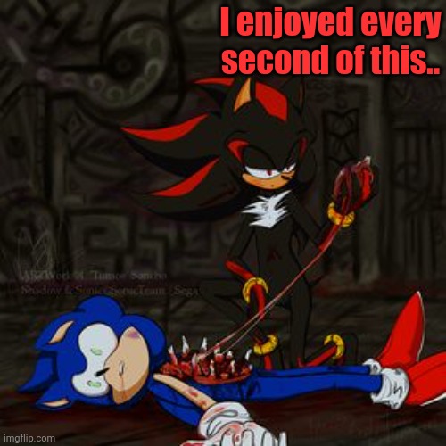 Shadow kills Sonic. |  I enjoyed every second of this.. | image tagged in shadow the hedgehog,sonic the hedgehog,death,oh wow are you actually reading these tags | made w/ Imgflip meme maker